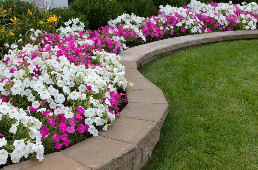 How often should I have my garden maintained?